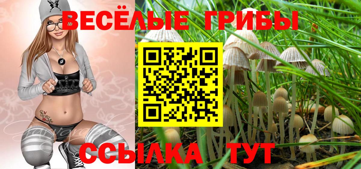 Галлюциногенные грибы Psilocybine cubensis Сыктывкар