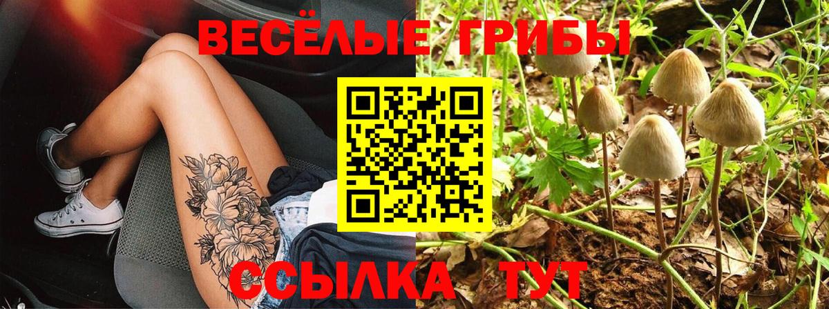 Сыктывкар  Кокаин  Конопля  Меф МЯУ МЯУ   Вход с VPN  ГАШ  А ПВП СК   МЕТ  LSD-25 